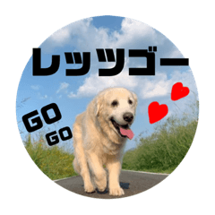 [LINEスタンプ] 我が家のダンボ2