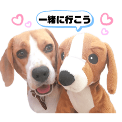 [LINEスタンプ] ビーグルのトムくん Part4