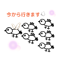 [LINEスタンプ] 使える鳥スタンプ(韓国語mix)