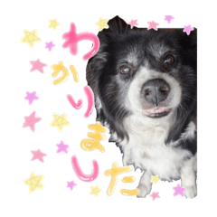 [LINEスタンプ] モフモフの仲間たち3
