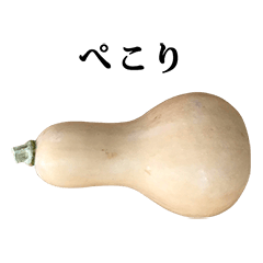 [LINEスタンプ] バターピーナッツ かぼちゃ と 文字