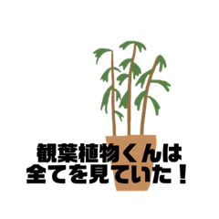 [LINEスタンプ] 観葉植物くん☆の画像（メイン）