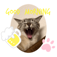 [LINEスタンプ] もちゃ 8