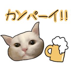 [LINEスタンプ] ハク様【飲みにけーしょん】