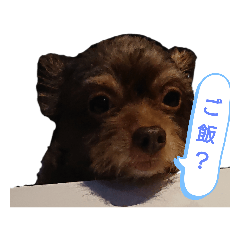 [LINEスタンプ] ぱぴちゃん♡♡