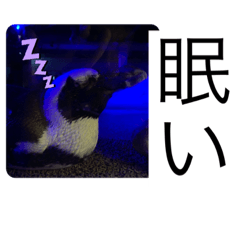 [LINEスタンプ] 海の生き物♡
