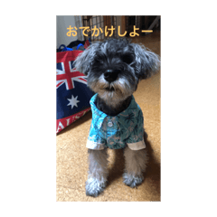 [LINEスタンプ] むぎの スタンプ