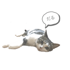 [LINEスタンプ] 怠いキジ白ちゃん