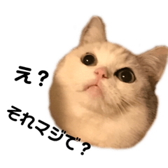 [LINEスタンプ] ユンクちゃん2
