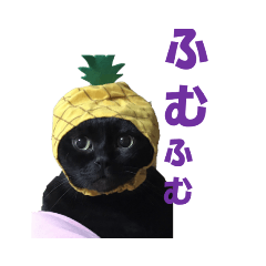 [LINEスタンプ] 心の癒しねこちゃんず