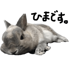[LINEスタンプ] うちのもち三