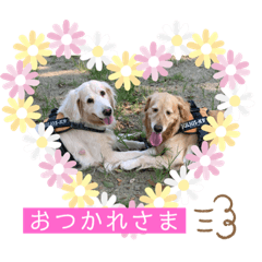 [LINEスタンプ] らっく＆れあの日常会話