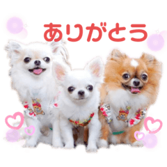 [LINEスタンプ] プラネルビsister's