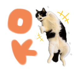 [LINEスタンプ] ばずのきもち