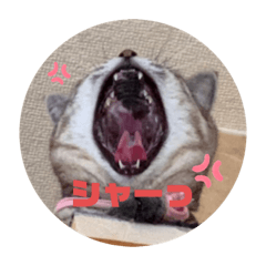 [LINEスタンプ] すたんぴっぴ