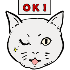 [LINEスタンプ] わいずねこスタンプ