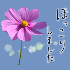 [LINEスタンプ] 手書きの優しい言葉にコスモスの花を添えての画像（メイン）