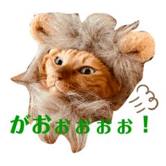 [LINEスタンプ] ごまふくきなこ うちのねこ