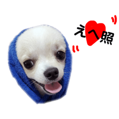 [LINEスタンプ] unichan stamp