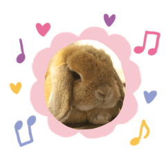 [LINEスタンプ] ウサギのロンちゃんの画像（メイン）