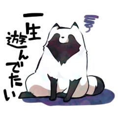[LINEスタンプ] ボドゲ×たぬき×日常2