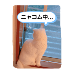 [LINEスタンプ] ひふみんスタンプ4