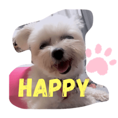 [LINEスタンプ] ごきげんらんちゃん
