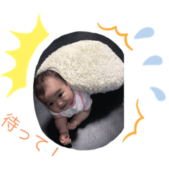 [LINEスタンプ] きょきょちゃんとちゅんちゃん