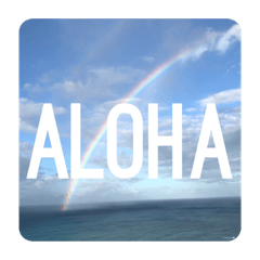 [LINEスタンプ] Hawaii語の画像（メイン）