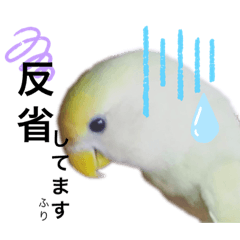 [LINEスタンプ] コザクラインコのネロ③