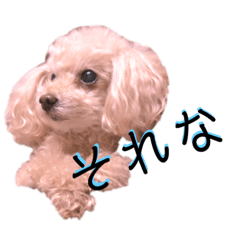 [LINEスタンプ] 高木さん家のさくらちゃん