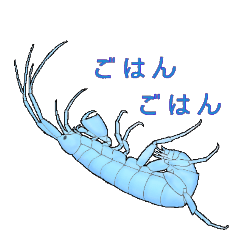 [LINEスタンプ] ヨコエビのスタンプ2