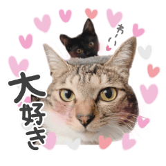[LINEスタンプ] ネル＆ルル＆マルほ★すたんぷ