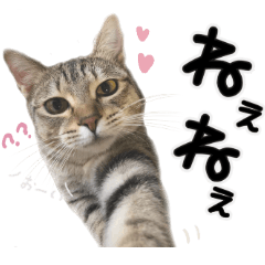 [LINEスタンプ] ザギちゃん＆トワくん☆スタンプ