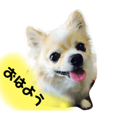 [LINEスタンプ] れのんリメイク版