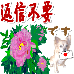 [LINEスタンプ] 花と犬の敬語・丁寧会話の画像（メイン）