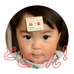 [LINEスタンプ] ゆうひの日常4