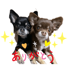 [LINEスタンプ] ニケベラスタンプ