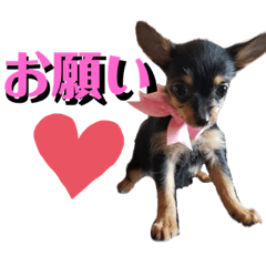 [LINEスタンプ] えりちゃんズ