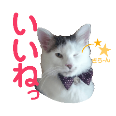 [LINEスタンプ] もふ次郎スタンプ2