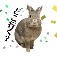 [LINEスタンプ] もふまるときどき仲間