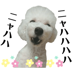 [LINEスタンプ] ライアン王国だ〜No1