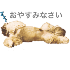 [LINEスタンプ] アンチョビロック