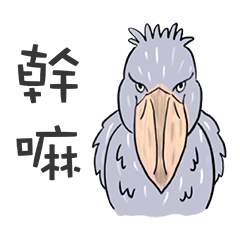 [LINEスタンプ] 神戸どうぶつ王国 公式スタンプ (繁体中文)