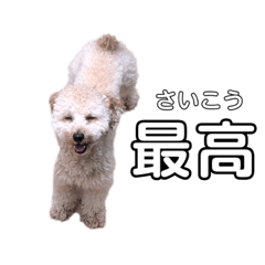 [LINEスタンプ] 工藤 ニコ スタンプ2