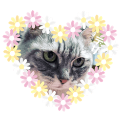 [LINEスタンプ] ♡永遠のデリ子♡