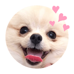 [LINEスタンプ] ぽめ＆ちわわ