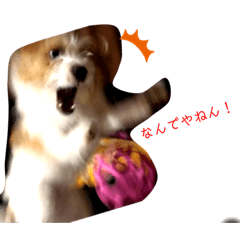[LINEスタンプ] ゆるかわ！JRTぺぴぴスタンプ