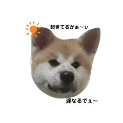 [LINEスタンプ] 毎日遊ぶの忙しい～ねん♪