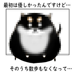 [LINEスタンプ] 黒柴っぽい犬